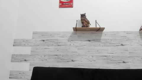 Jaycreedd online show from January 14, 3:22 am