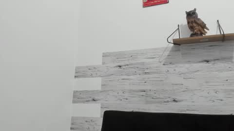 Jaycreedd online show from October 1, 2:04 am