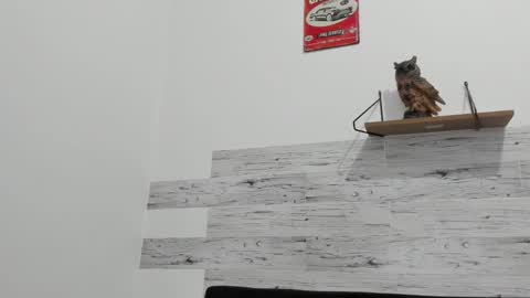 Jaycreedd online show from September 30, 12:50 am