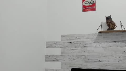 Jaycreedd online show from September 17, 12:00 am