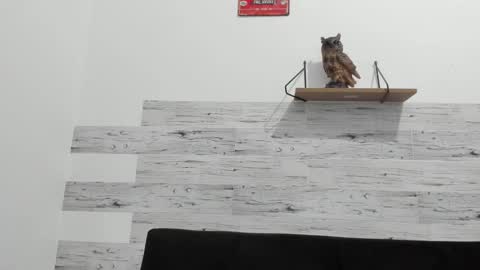 Jaycreedd online show from September 26, 2:31 am