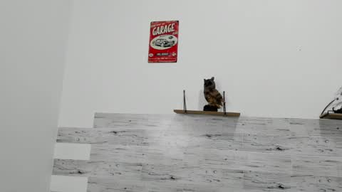 Jaycreedd online show from March 9, 6:06 am