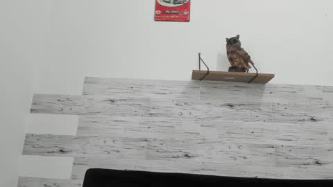 Jaycreedd online show from February 18, 6:49 pm