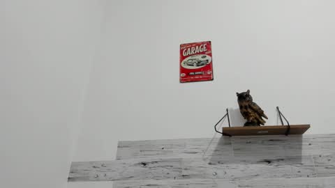 Jaycreedd online show from September 29, 12:42 am