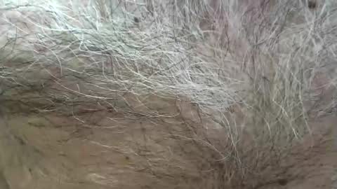 jayjay1949a online show from March 21, 6:56 pm