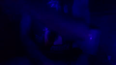 Jaysobricked online show from January 23, 11:37 am