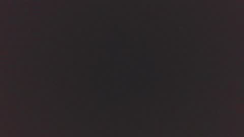 jdog00133 online show from November 16, 8:11 pm