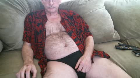 Bear in Massachusetts online show from March 8, 2:38 pm