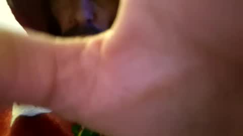 jimmyjunior3in online show from March 15, 5:37 am