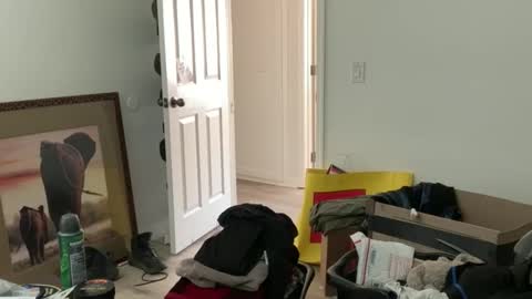 jimmythe47 online show from March 23, 7:20 pm