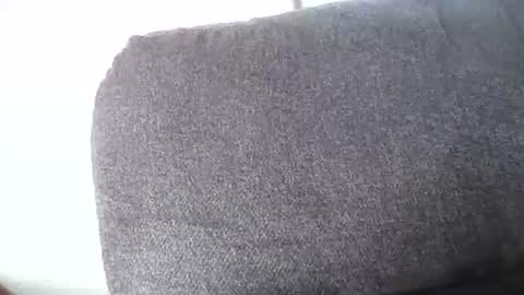 jj350ss online show from March 11, 3:08 pm