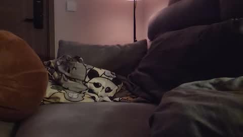 jj_jayjayq online show from February 8, 12:21 pm