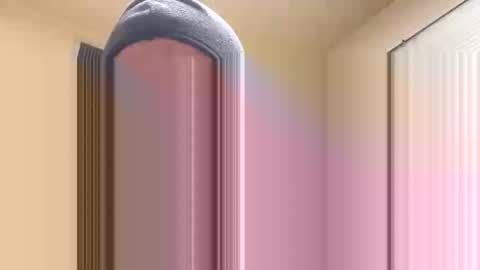 jjuarez5409 online show from January 19, 2:58 am