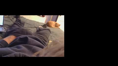 jjunior420 online show from November 16, 4:47 am