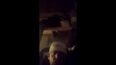 joeevanski online show from March 11, 2:07 am