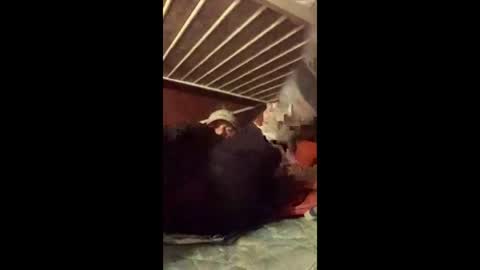 joeevanski online show from March 7, 11:57 pm