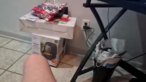 joellovestwinks online show from December 23, 2:42 am