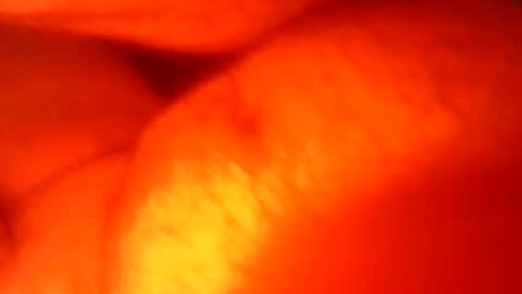 jonnyhardon1269u546045 online show from November 18, 4:49 am