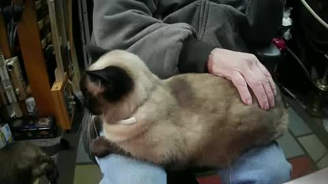 jonsexy1958 online show from January 16, 6:06 pm