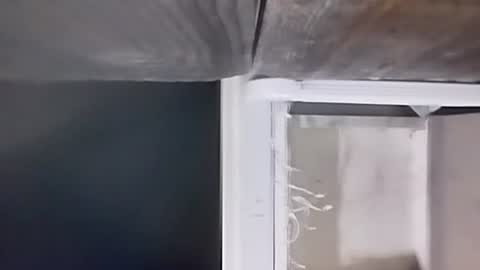 Carlos online show from December 9, 2:34 am