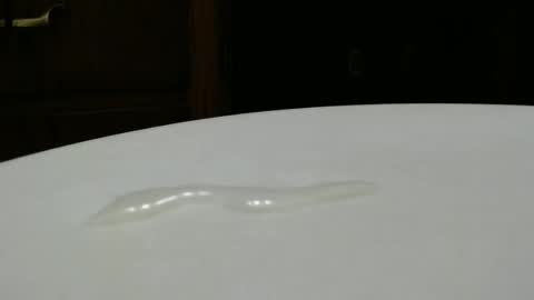 Dave online show from February 6, 2:14 pm