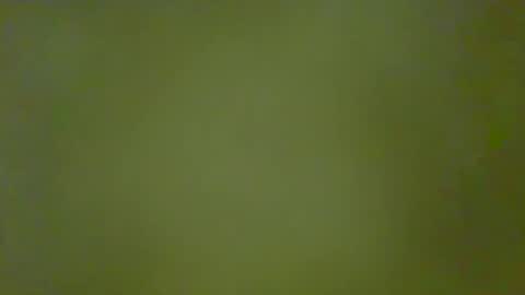 McKeefer online show from January 18, 5:26 pm