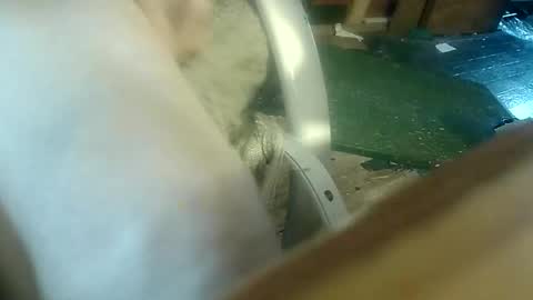 justme42c online show from January 9, 6:04 pm