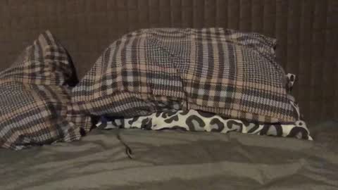 kiki3526 online show from November 23, 7:36 pm