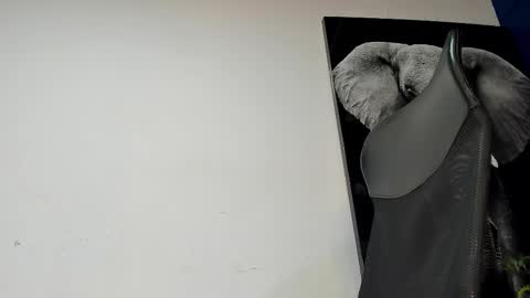 Angel Falconer online show from November 4, 2:12 am