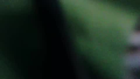 king_russo online show from November 11, 3:44 am