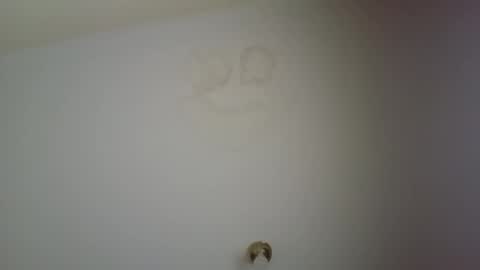 kingoftheping7277 online show from April 7, 8:42 pm