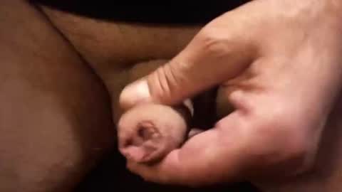 kiwiguy17 online show from February 22, 7:54 am