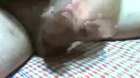 klok8230 online show from November 19, 2:55 am