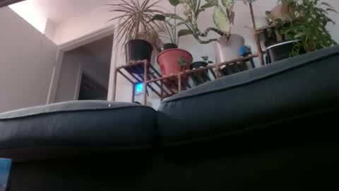 Snapshot of laidback_and_chill chatting on February 1, 3:08 am Rick online show from February 1, 3:08 am