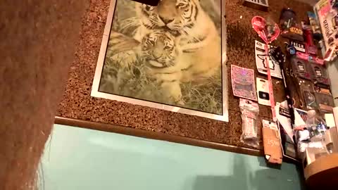 larrythelover23 online show from January 15, 2:04 am