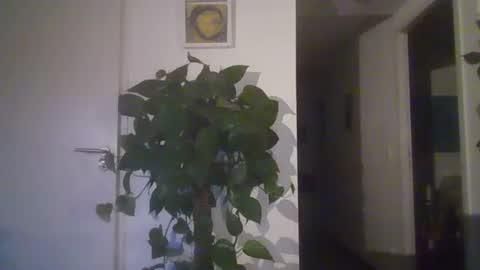 laurenthod online show from October 1, 7:51 pm