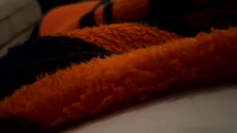 lc6173 online show from February 11, 8:10 pm