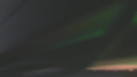 leowolf online show from December 8, 6:50 pm