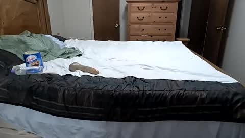 legspreadkink online show from November 7, 2:48 am