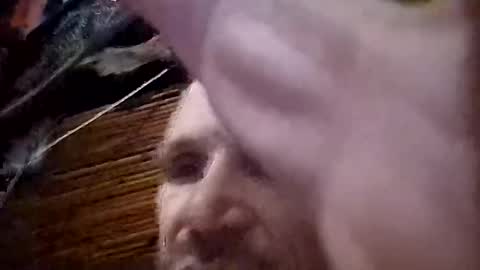 letslookateach online show from December 14, 6:31 am