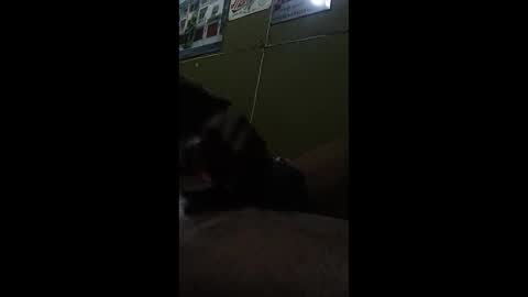 lickemlow601 online show from November 10, 6:35 pm