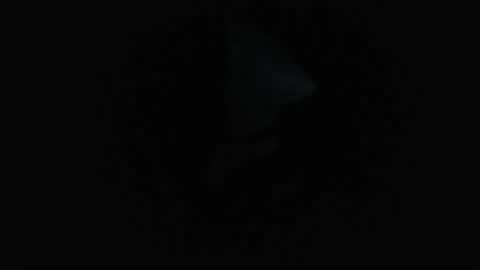 lickerxx46 online show from February 23, 6:53 pm