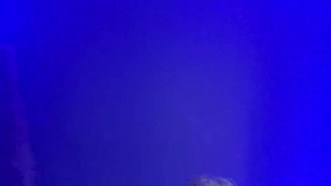 Snapshot of lickyouryoni chatting on January 1, 2:52 pm LickYourYoni online show from January 1, 2:52 pm