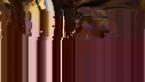 likestroken2 online show from November 23, 8:09 pm