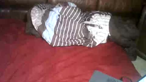 Richie Rich online show from November 3, 8:18 am