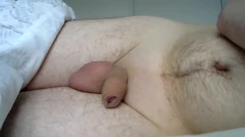 lion2662 online show from January 3, 10:41 am