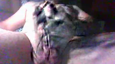 litwinpaweel online show from October 27, 8:33 pm