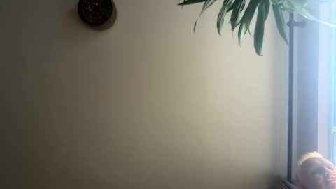 liverpoolfc1986 online show from February 22, 4:05 pm