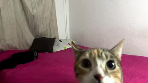 Logan online show from February 17, 5:34 pm