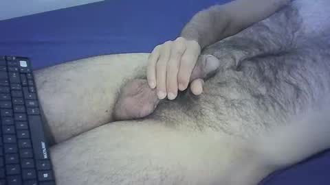 lontbrasil online show from November 16, 11:23 am